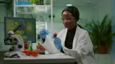 Kimyager bilim adamı çileğe organik sıvı enjekte ediyor DNA testi yapıyor.