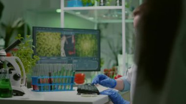 Petri kabındaki çözelti testini analiz eden ilaç araştırmacısı.