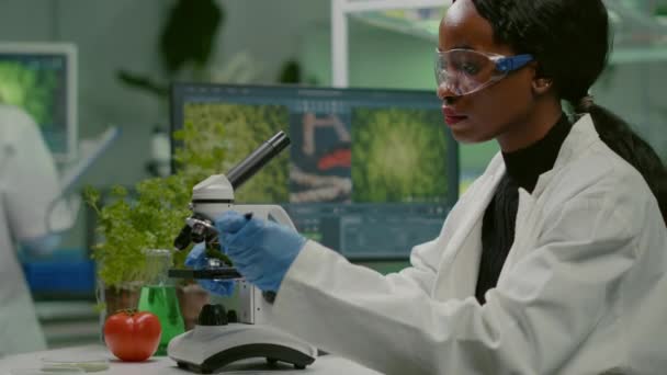 Bioteknikforskare undersöker botaniskt gröna blad — Stockvideo