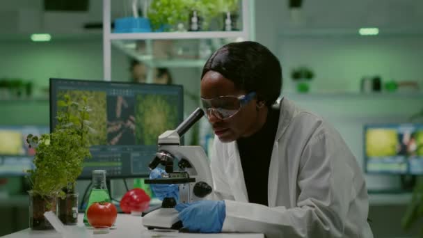 Vista de diapositiva del investigador biólogo analizando la hoja verde gmo — Vídeo de stock