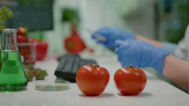 Closeup do cientista injetando tomate com líquido genético usando seringa médica — Vídeo de Stock