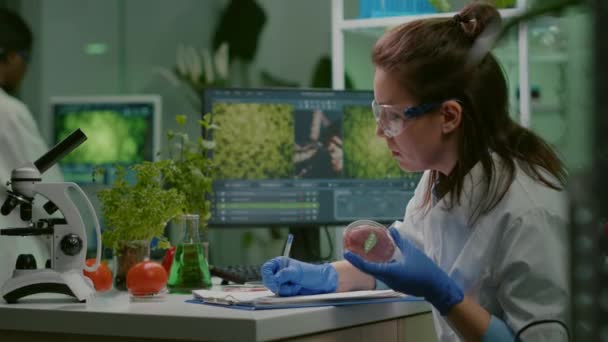 Biolog kobieta pisząc ekspertyzę medyczną, trzymając płytkę Petriego z wegańskiego mięsa wołowego — Wideo stockowe