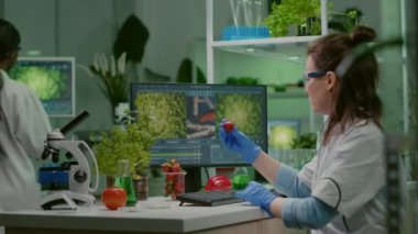 Bilim adamı araştırmacı çileğe böcek ilacı enjekte ediyor.