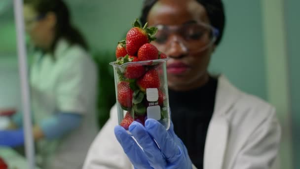 African researcher looking at glass with healthy strawberry — Stock Video