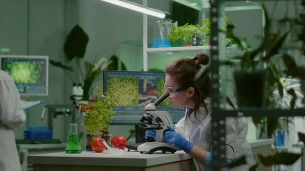 생화학 의사가 현미경을 사용하여 화학 검사를 하고 있다 — 비디오