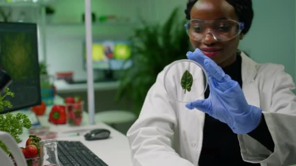 Дослідник біології, що аналізує зразки зеленого листя з використанням медичних рукавичок — стокове відео