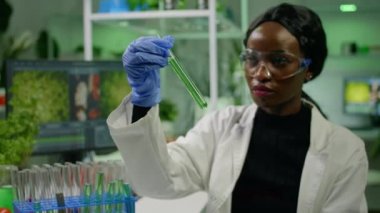Afrikalı reseacher yeşil fidan DNA 'lı test tüpüne bakıyor.
