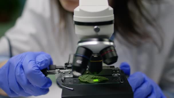 Close-up van chemicus onderzoeker handen op zoek naar bladmonster — Stockvideo