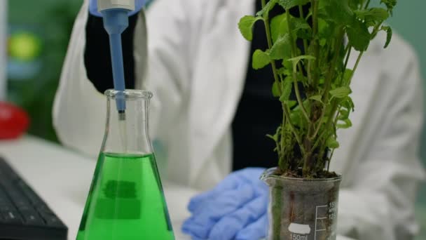 Gros plan de la botaniste femme utilisant la micropipette pour prendre du liquide génétique mettre sur sapling — Video