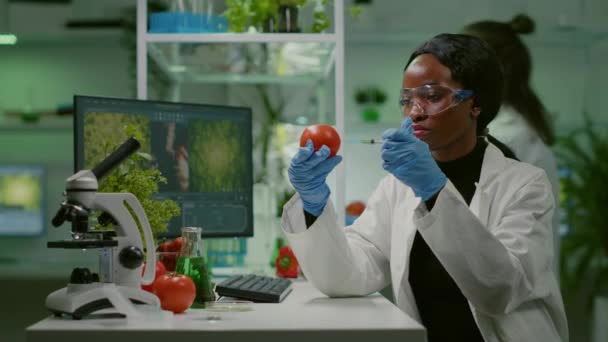 Afrikansk biokemist med medicinska handskar som injicerar ekologisk tomat med bekämpningsmedel — Stockvideo