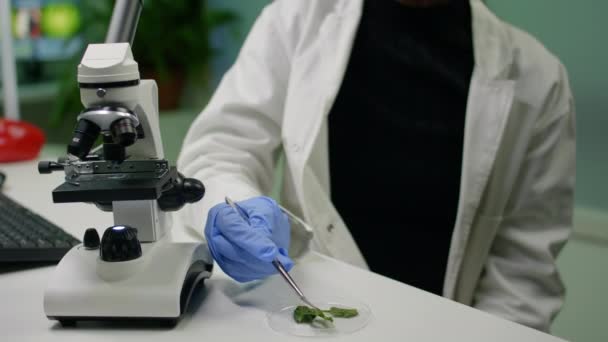 Botanicus neemt bladmonster van petrischaal die biologische genetische mutatie ontdekt — Stockvideo