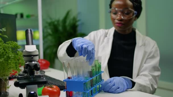 African botanist researcher checking test tubes with dna test liquid — Stock Video