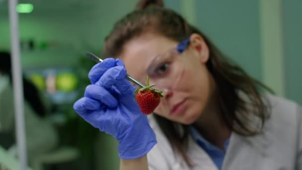 Närbild av biolog kvinna som tar jordgubbar med pincett — Stockvideo