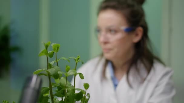 Sluitingen van botanische vrouwen die jonge boompjes controleren voor landbouwexperimenten — Stockvideo