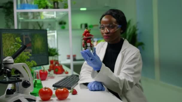 Biolog forskare tittar på ekologiska jordgubbar undersöka frukter — Stockvideo