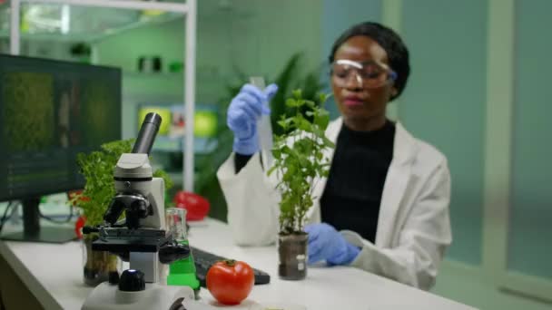Afrikaanse onderzoeker meten boompje voor botanie experiment — Stockvideo