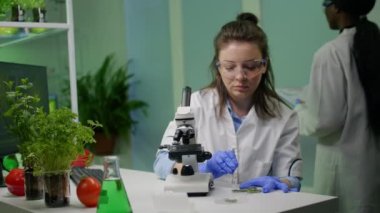 Mikroskop altında incelenen cımbızla yaprak örneği alan dalak araştırmacısı.