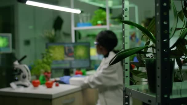 Дослідник медичної команди, що працює в лабораторії фармакології, вивчає органічні продукти харчування — стокове відео