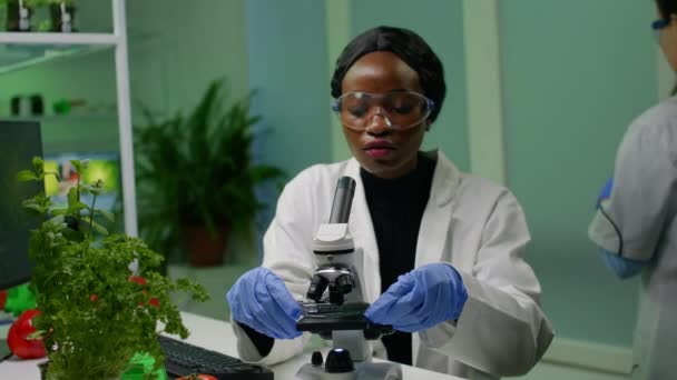 Botanische vrouw die het testmonster onder de microscoop bekijkt en genetische mutatie observeert — Stockvideo