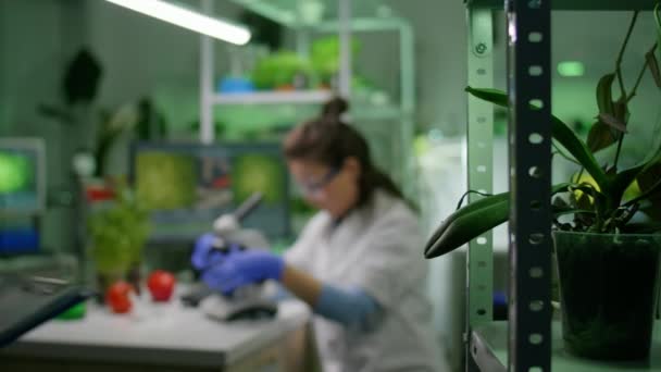 Vista de diapositiva del investigador químico que analiza la hoja verde gmo bajo el microscopio médico — Vídeo de stock