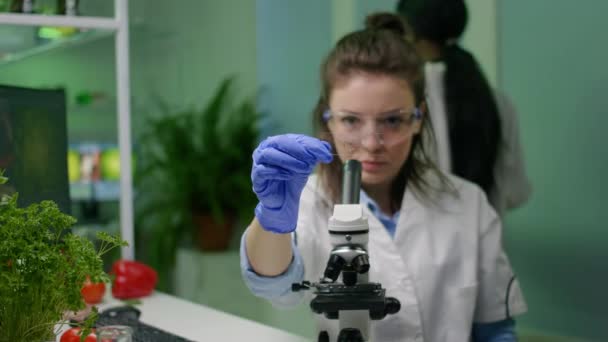 Biologiste prélever des échantillons de feuilles vertes au microscope — Video