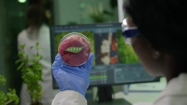 Primo piano del ricercatore biologo che tiene in mano un campione vegano di carne di manzo — Video Stock