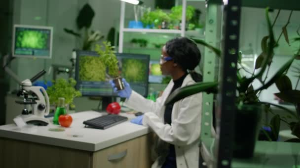 Mulher cientista analisando o broto enquanto digita experiência farmacêutica — Vídeo de Stock