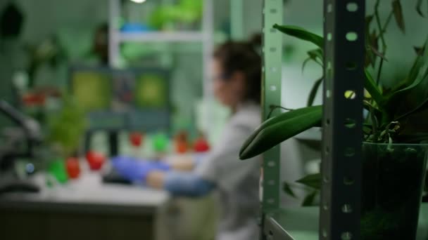 Přední pohled ženského badatele analyzujícího Petriho misku s veganským masem — Stock video