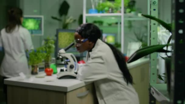 Исследователь-биолог изучает слайд из органических листьев для получения медицинских знаний — стоковое видео