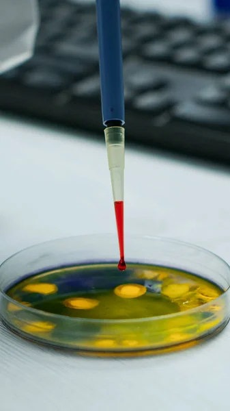 Крупный план ученого, использующего микропипетку для анализа образца крови — стоковое фото