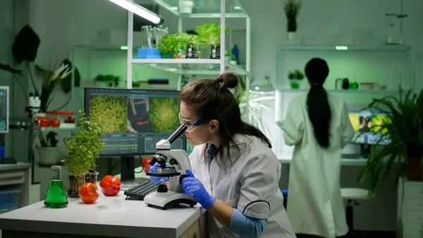 Vue de diapositive du chercheur chimiste analysant la feuille verte de la mousse au microscope médical — Photo