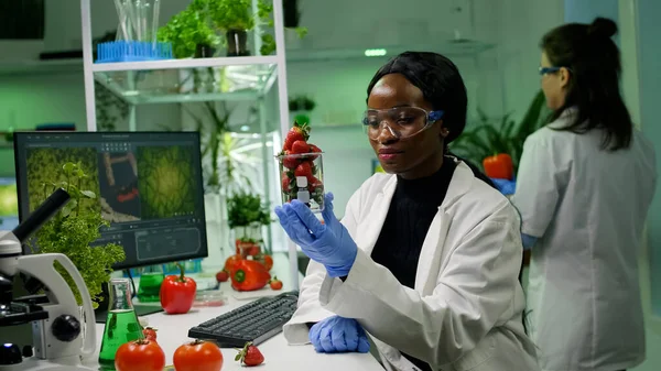 Investigador biólogo mirando fresas orgánicas examinando frutas —  Fotos de Stock