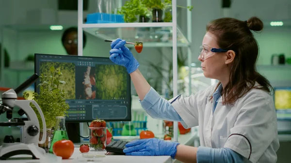 Scientist chemist checking strawberry using medical tweezers — Stock Photo, Image