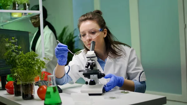 Biólogo splecialist tomando con pinzas muestra de hoja verde — Foto de Stock