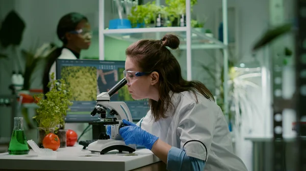 Biologist taking leaf sample putting into microscope — Stock Photo, Image