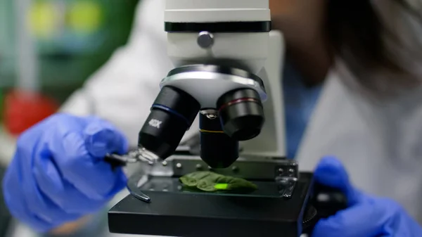 Закрытие рук биолога, помещающих образец листа под микроскоп — стоковое фото