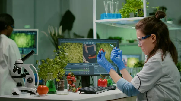 Scientist injecting strawberry with pesticides discovery genetic mutation — Stock Photo, Image