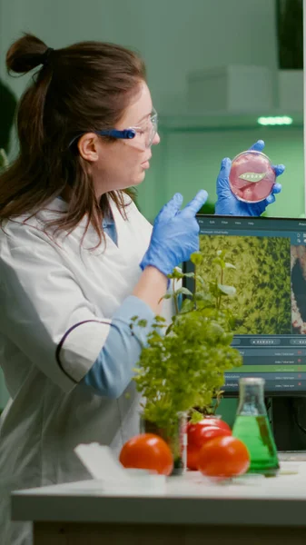 Equipo médico discutiendo sobre placa de Petri con carne vegana —  Fotos de Stock