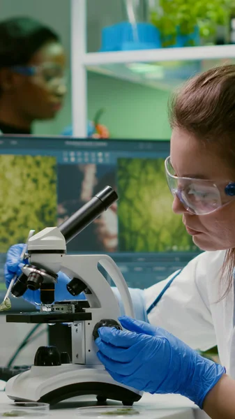 Scientist researcher examining genetically modified green leaf — Stock Photo, Image