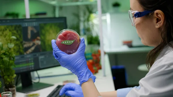 Químico analizando sustituto de carne a base de plantas para vegetarianos —  Fotos de Stock