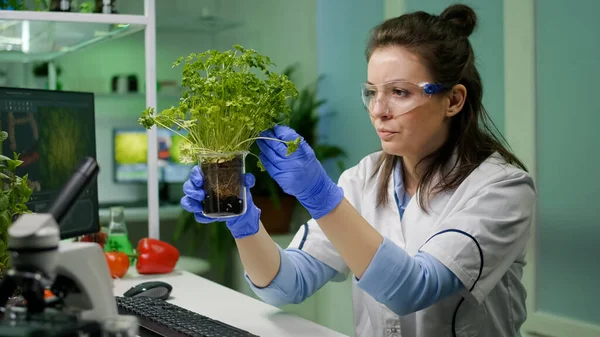 Botaniczka badająca zielone sadzonki obserwująca mutację genetyczną — Zdjęcie stockowe