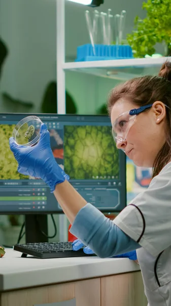 Botanist researcher typing medical expertise on computer — Stock Photo, Image