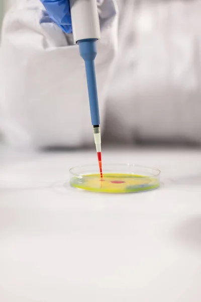 Gros plan d'un scientifique qui laisse tomber un échantillon de sang à l'aide d'une micropipette — Photo