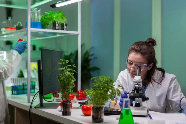 Biologist scientist looking at leaf sample using medical microscope — Stock Photo, Image