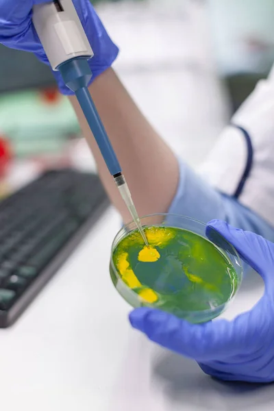 Ricercatore biologo con micropipetta e capsula di Petri — Foto Stock