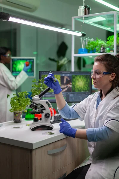 Biologist splecialist taking with tweezers green leaf sample — Stock Photo, Image