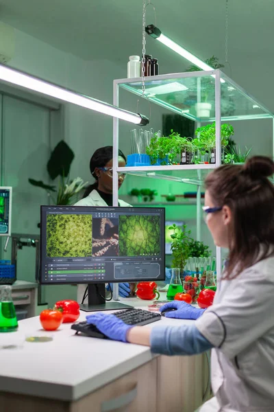 Chemist scientist woman typing biochemistry expertise on computer — Stock Photo, Image