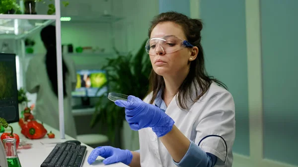 Mujer botánica mirando placa petri con prueba de gmo de comprobación de muestras de hojas —  Fotos de Stock