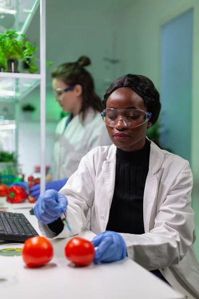 Primer plano del químico científico inyectando tomate orgánico con pesticidas —  Fotos de Stock