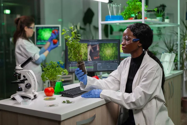 Scientist looking at green sapling for medical experiment — Stock Photo, Image